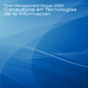 Consultora en Tecnologas de la Informacin TI, First Management Group 2000 en el DF Distrito Federal, Mxico